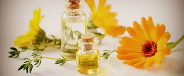 Травы от перхоти3